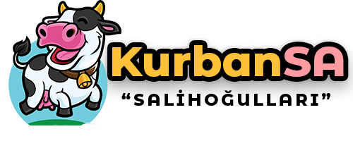 www.kurbansa.com